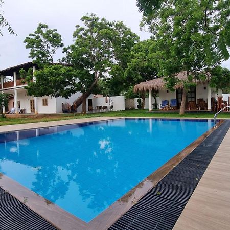 Hotel Kirinda Heaven - Yala Exteriér fotografie